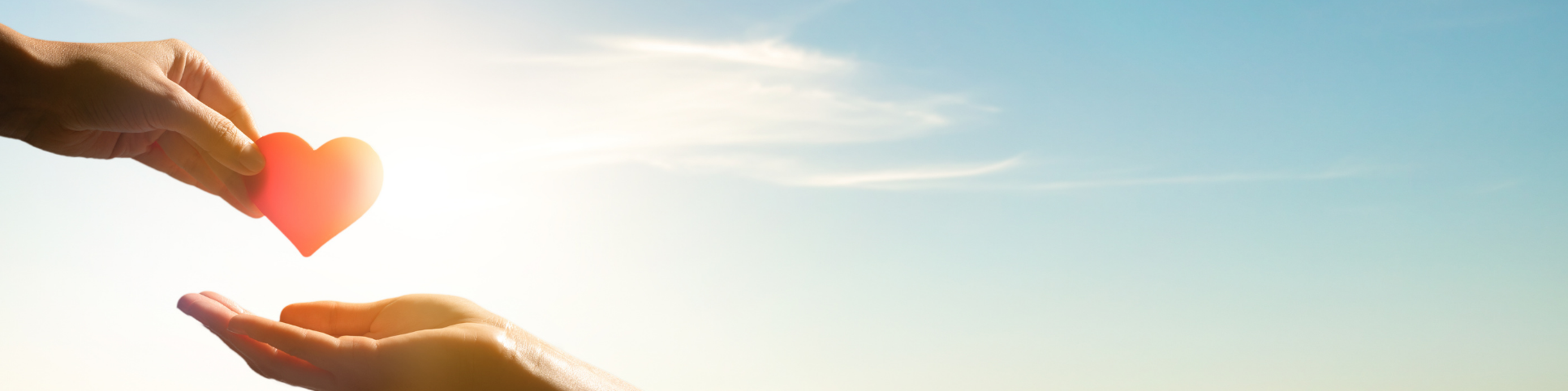 Copy of LinkedIn Banner 2